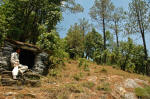 Shrines like these dot the hike up to Pinath temple.