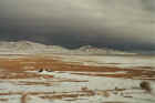 A rare snowfall in the eastern Syrian desert 