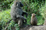 Serengeti National Park