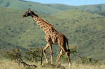 Serengeti National Park