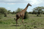 Serengeti National Park