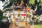 A Hindu style shrine under a tree 