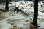 Travertines near Mammoth Hot Springs